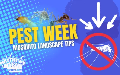 Mosquito Landscape Tips