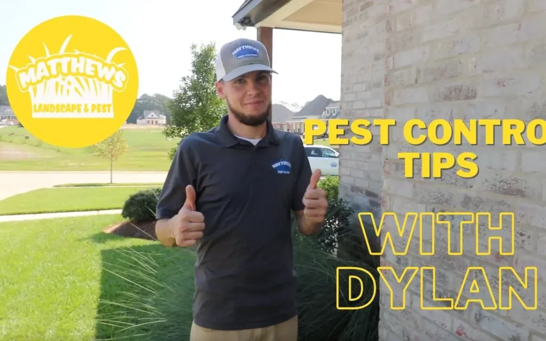 Pest Control Tips With Dylan