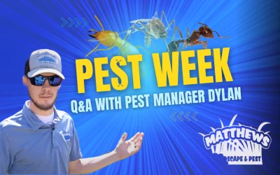 Q&A With Pest Control Manager Dylan