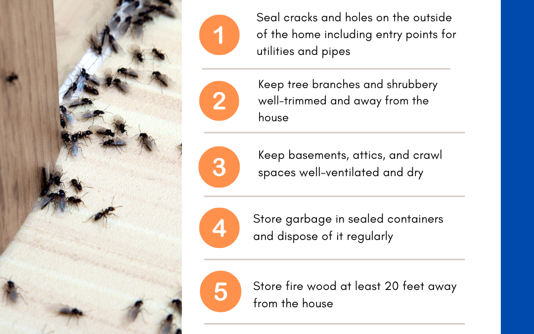 Top 6 Pest Control Tips