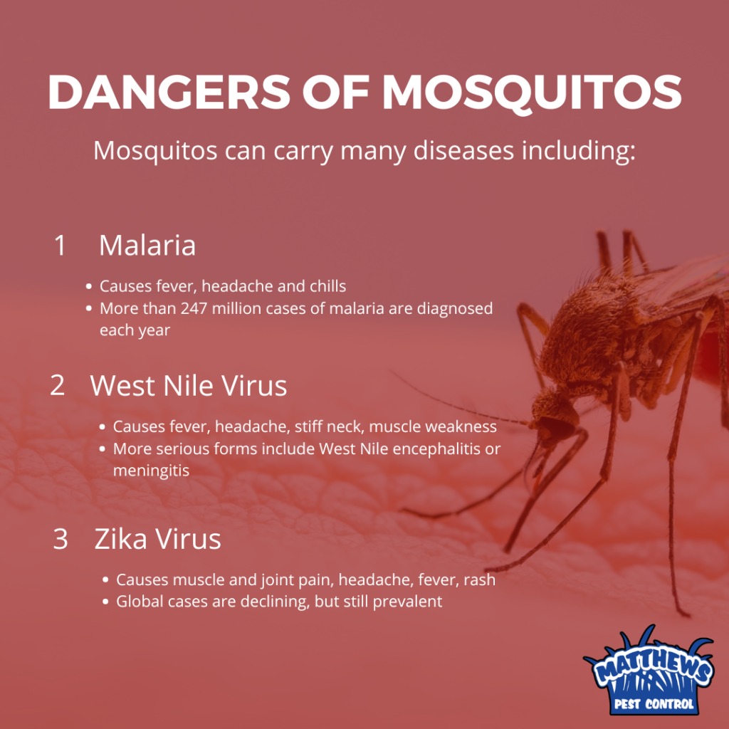 Image of mosquito with text overlay. 
Title says: Dangers of Mosquitos. Mosquitos can carry many diseases including:

Malara, West Nile, and Zika Virus 