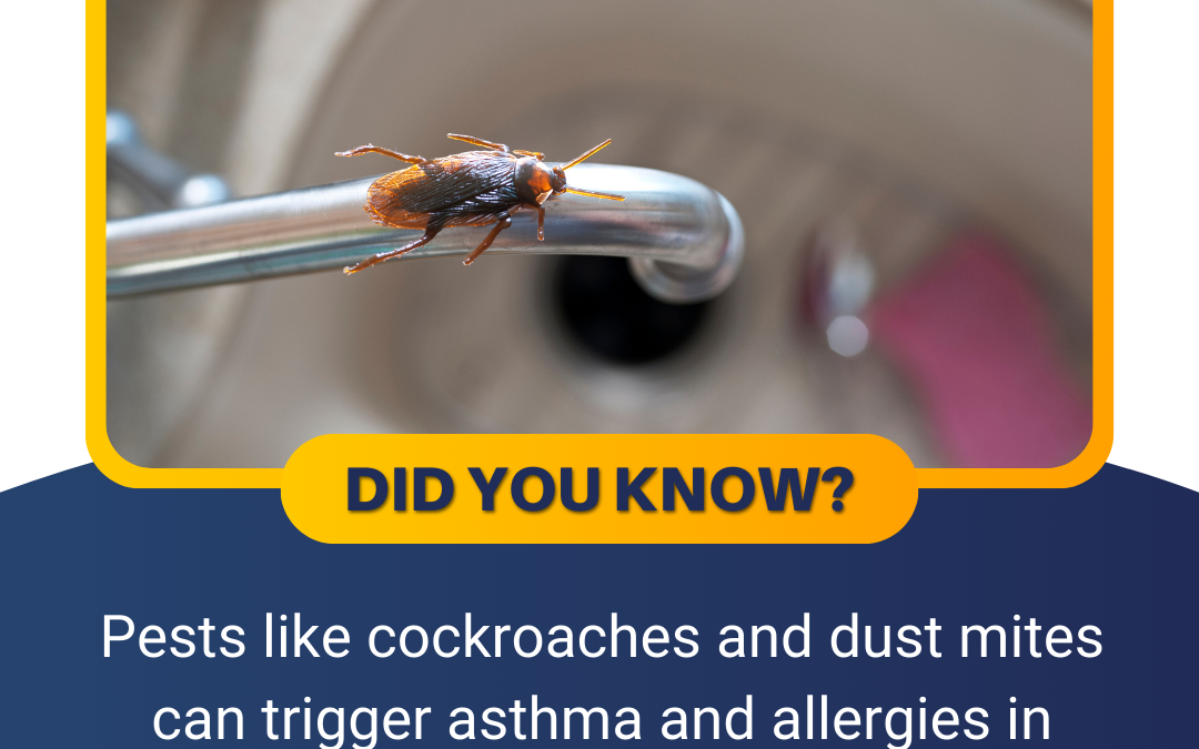 Did You Know? Pests Can Cause Asthma