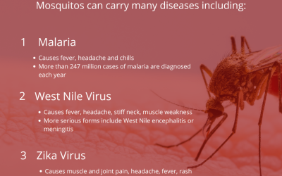 Preventing Mosquitos Prevents Disease