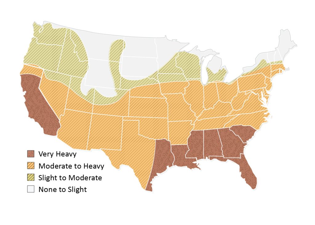 termite infestation probability map of America