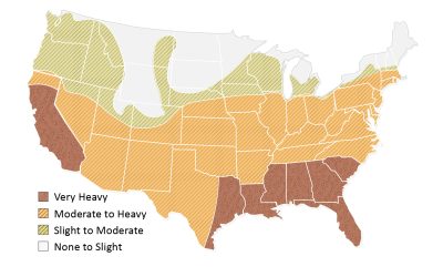 Termite Infestation Map