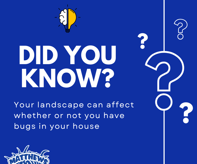 Does Your Landscape Attract Pests?