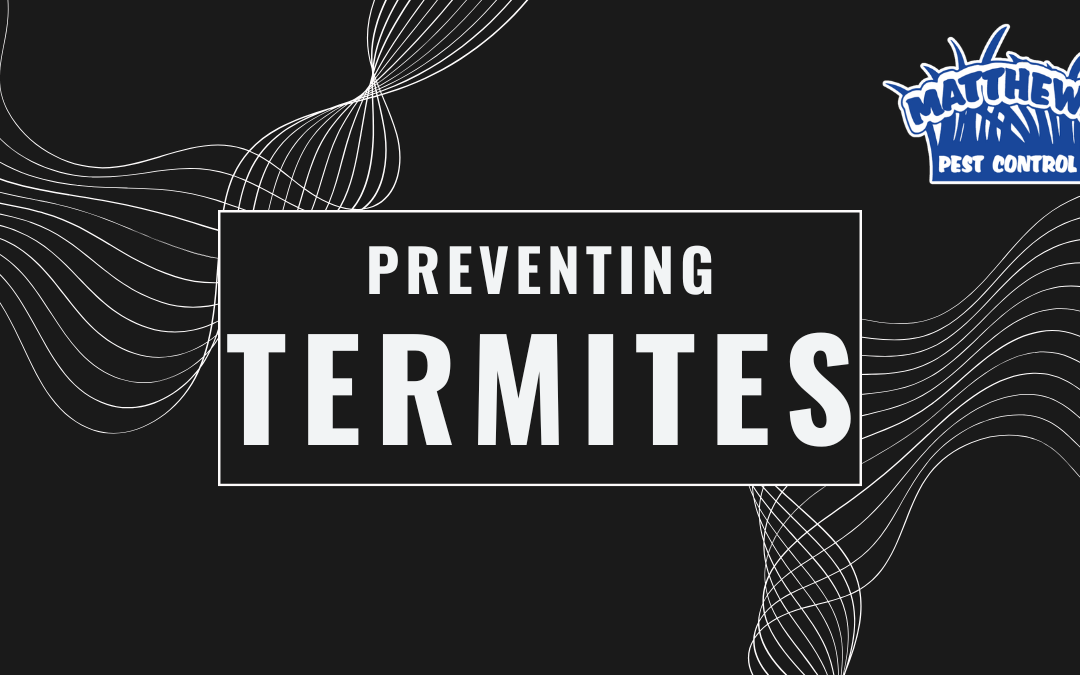 10 Tips to Prevent Termites