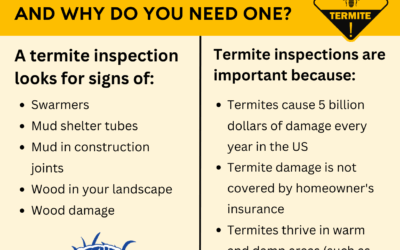 What is a Termite Inspection?