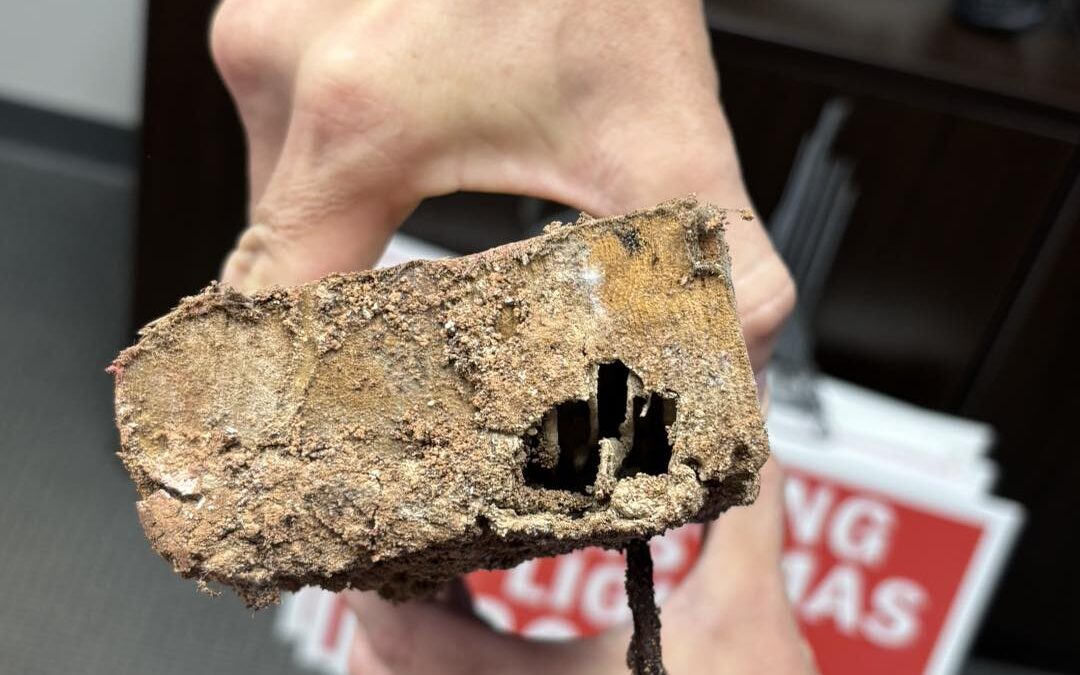 This is termite damage