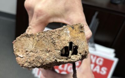 This is termite damage